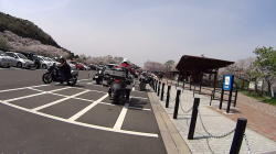 桜淵公園を出る