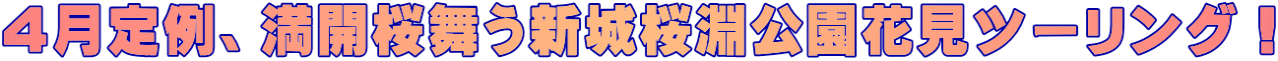 ４月定例、満開桜舞う新城桜淵公園花見ツーリング！